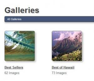 Use Featured Galleries to Find the Best Artwork