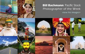 Photographer Of The Week Bill Bachmann