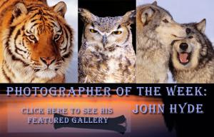 Photographer Of The Week John Hyde